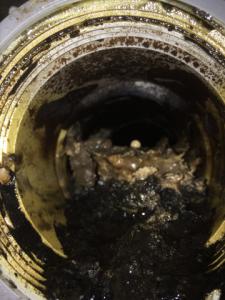 Kelowna-plumbers-A1-Choice-clogged-drain